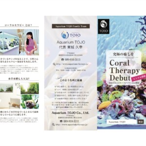 Coral Therapy Début‼︎